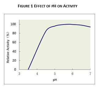 De pH faible tolérez les enzymes thermostables liquides pour l'amylase-alpha ha - 470 280000 U/ml d'éthanol