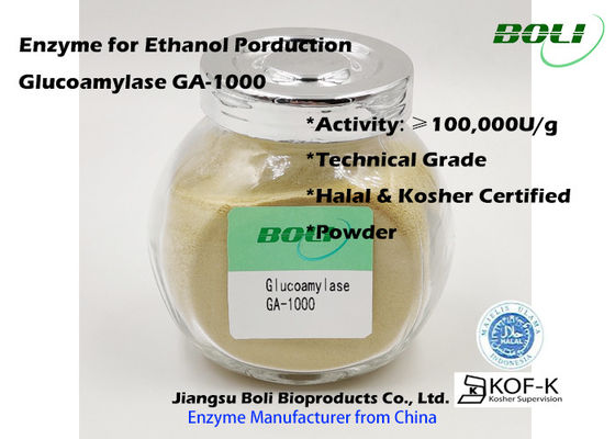 Poudre industrielle d'enzymes de la glucoamylase GA-1000