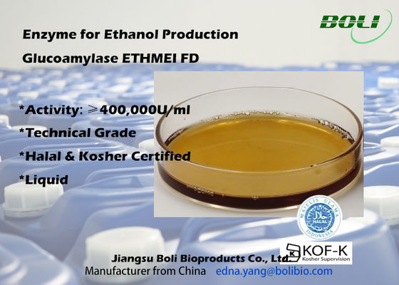 Enzyme de forte activité de glucoamylase ETHMEI FD pour la production d'éthanol