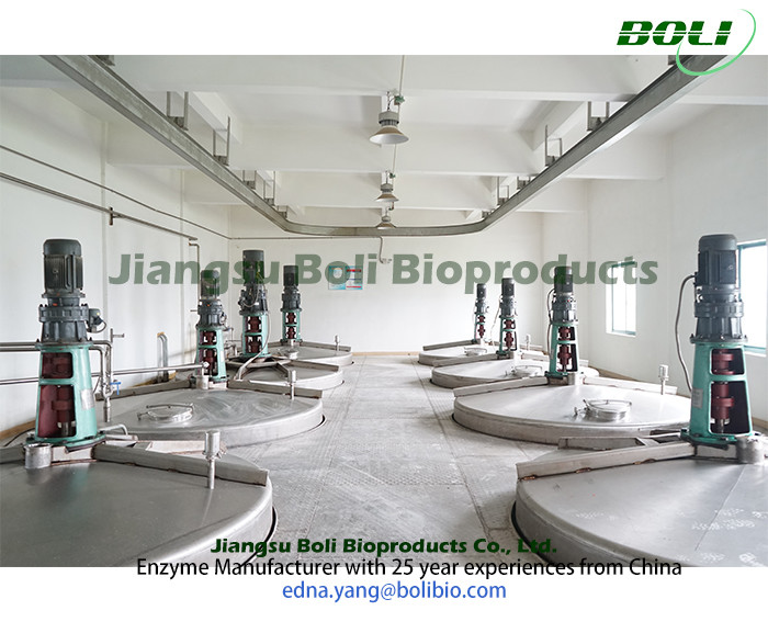 Jiangsu Boli Bioproducts Co., Ltd. ligne de production en usine