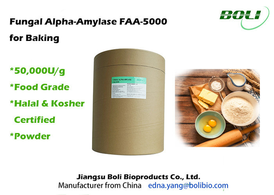 Poudre fongique d'Alpha Amylase Baking Enzymes FAA-5000 50000U/G