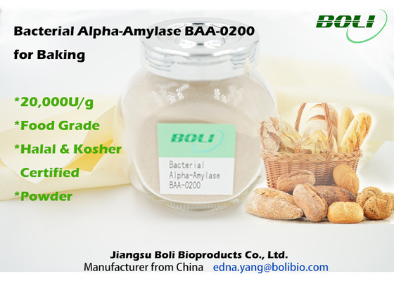 Alpha Amylase bactérienne BAA-0200 pour faire 20000U/G cuire au four en nourriture