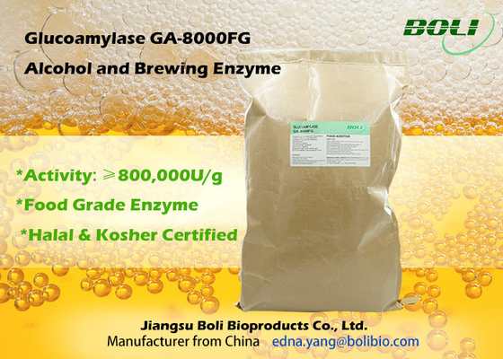 Enzyme de brassage de la glucoamylase GA-8000FG pour la haute poudre de catégorie comestible de Concerntration d'alcool
