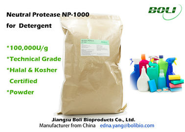Protéase neutre technique NP - 1000 d'enzymes protéolytiques de poudre de catégorie pour le détergent