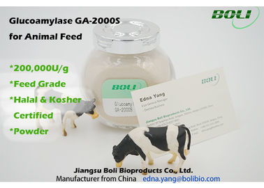 Enzymes biologiques de forte activité 200000 U/g, enzyme d'amyloglucosidase d'alimentation des animaux