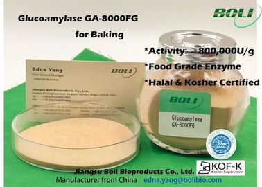 La haute a concentré l'enzyme GA - 8000FG 800000U/G de glucoamylase de poudre pour la nourriture Indusry