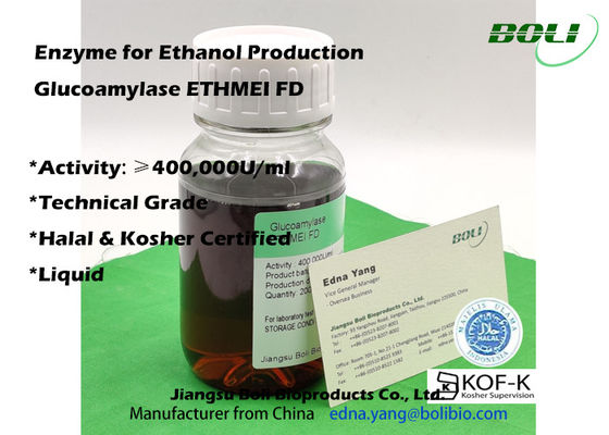 Enzyme de forte activité de glucoamylase ETHMEI FD pour la production d'éthanol