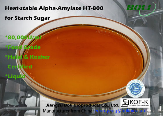 Alpha Amylase liquide thermostable de forte activité Ht-800 pour l'amidon Liquifaction de nourriture