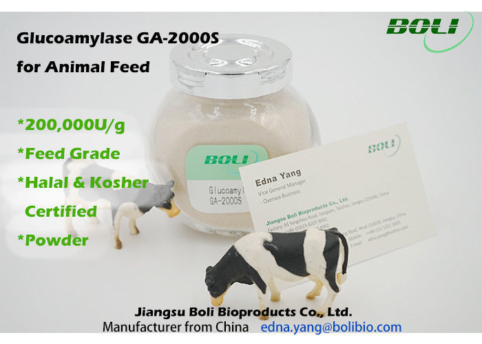 Enzymes biologiques de forte activité 200000 U/g, enzyme d'amyloglucosidase d'alimentation des animaux