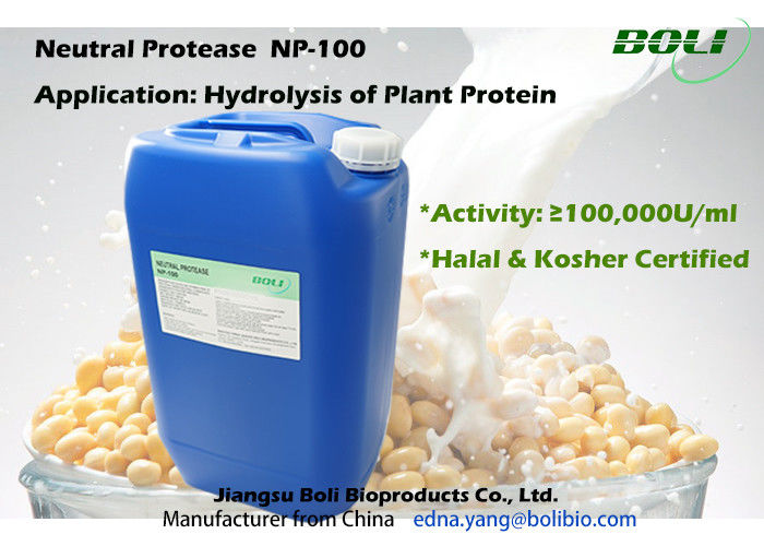 Protéase neutre pour l'hydrolyse de la protéine végétale, production industrielle d'enzyme de protéase