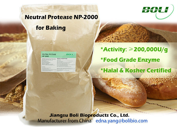 Non - viande halal et cacher de poudre d'enzymes de cuisson de forte concentration en GMO certifiés