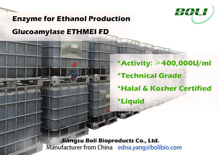 Haute glucoamylase d'activité enzymatique ETHMEI FD pour la production d'éthanol