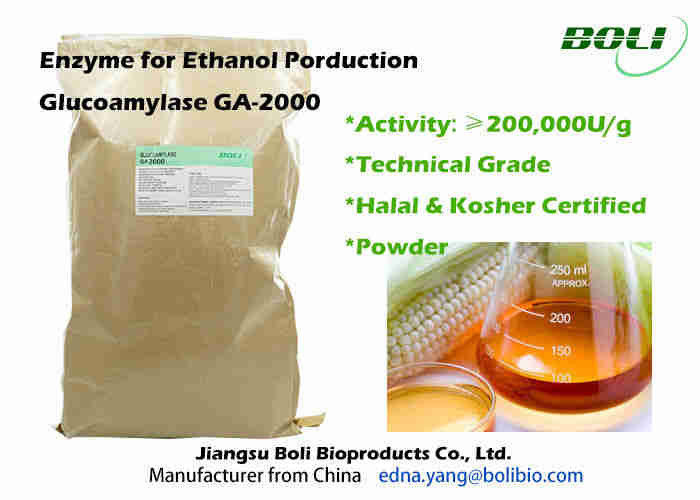 Enzyme industrielle GA - 2000 efficacités plus rapides de glucoamylase de poudre de fermentation pour l'éthanol
