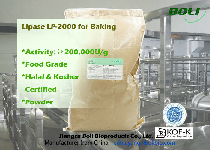 200000u/G saupoudrent la haute enzyme efficace de la lipase Lp-2000 à l'utilisation alimentaire de boulangerie